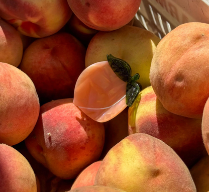 Midi Peach Hair Claw Clip