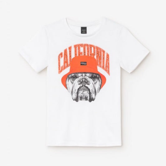 California White short sleeves T-shirt - KIDDING | Kids | Teens | Moms